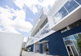 33岁男头顶脱发严重缺什么营养元素