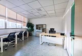 金山区写字楼绿植租赁服务