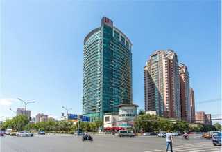 广西枸杞茶厂家